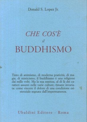 Che cos'è il Buddhismo