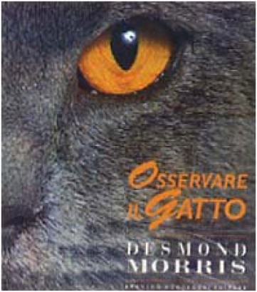 Osservare il gatto