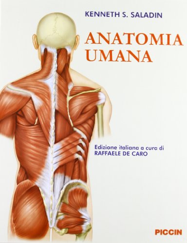 Anatomia Umana