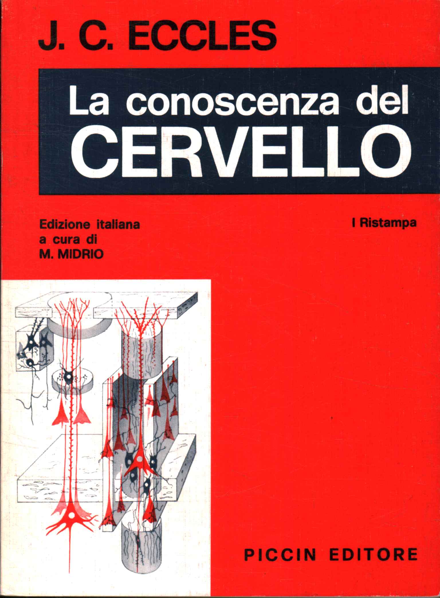 La conoscenza del cervello