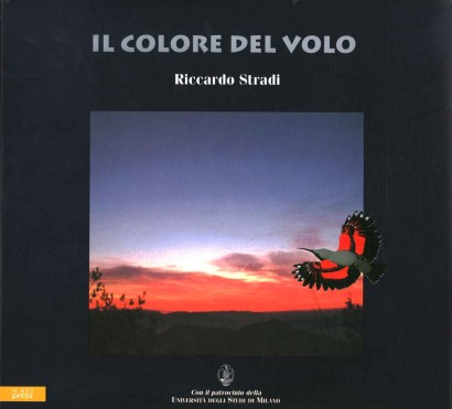 Il colore del volo