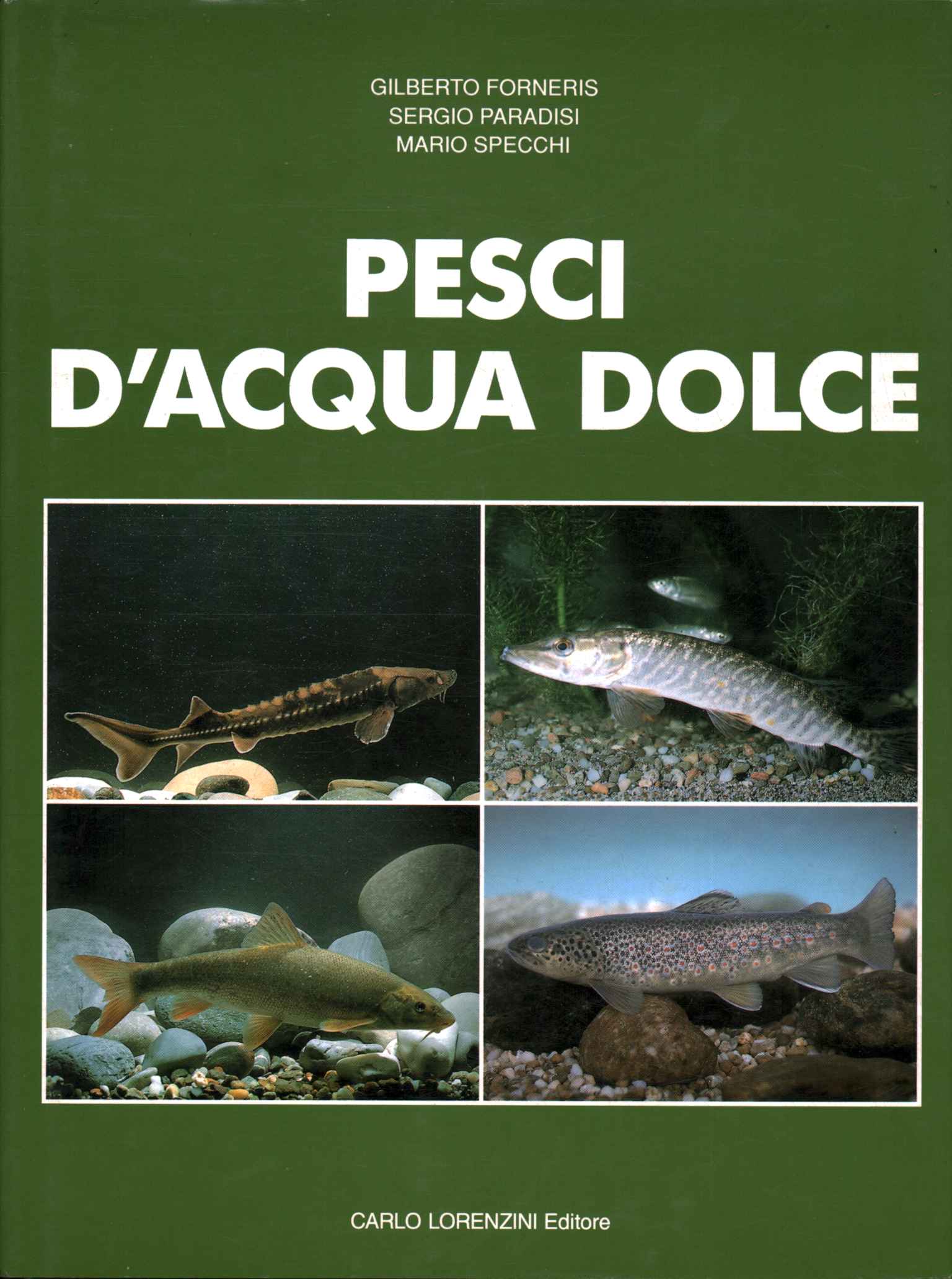 Poissons d'eau douce (Volume 4)