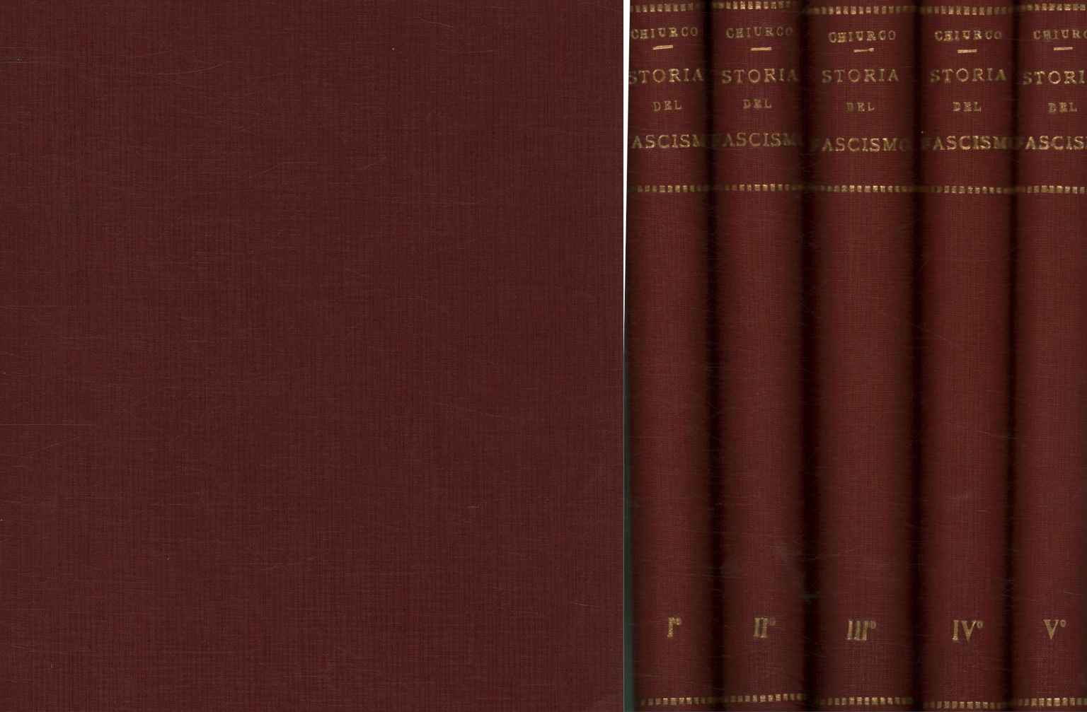 History of the fascist revolution (5 Vol