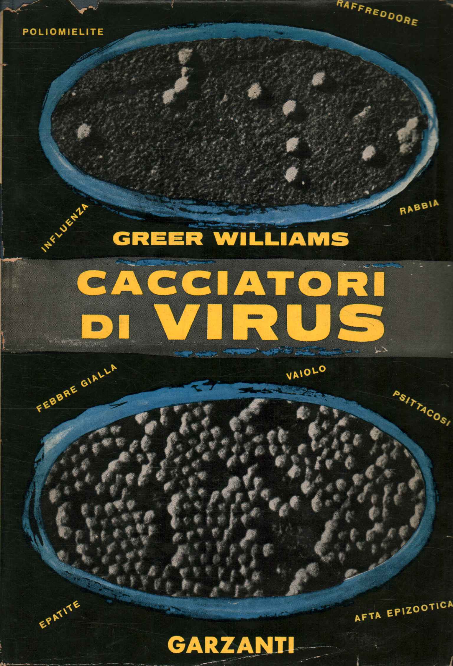 Cacciatori di virus