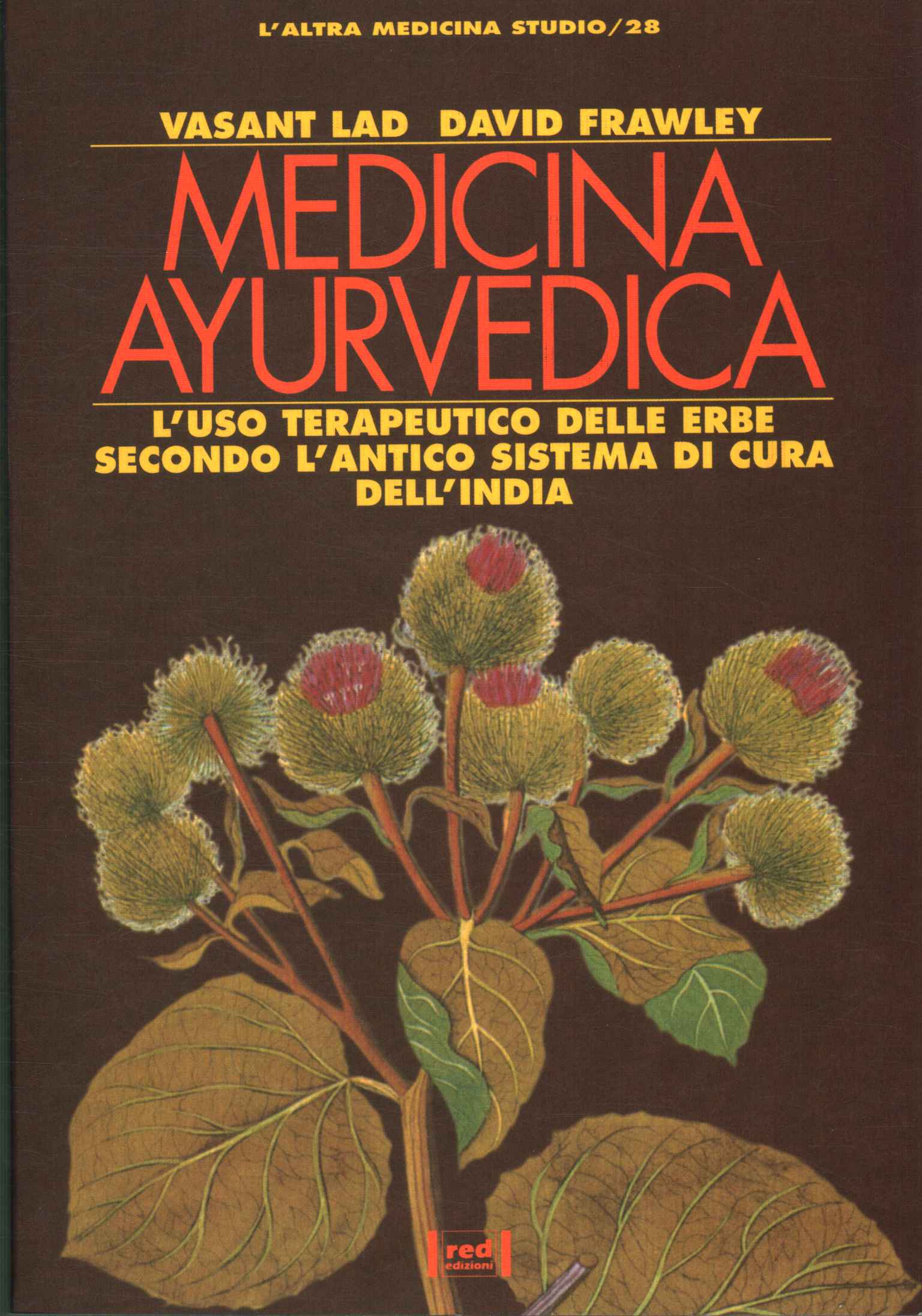 Médecine ayurvédique