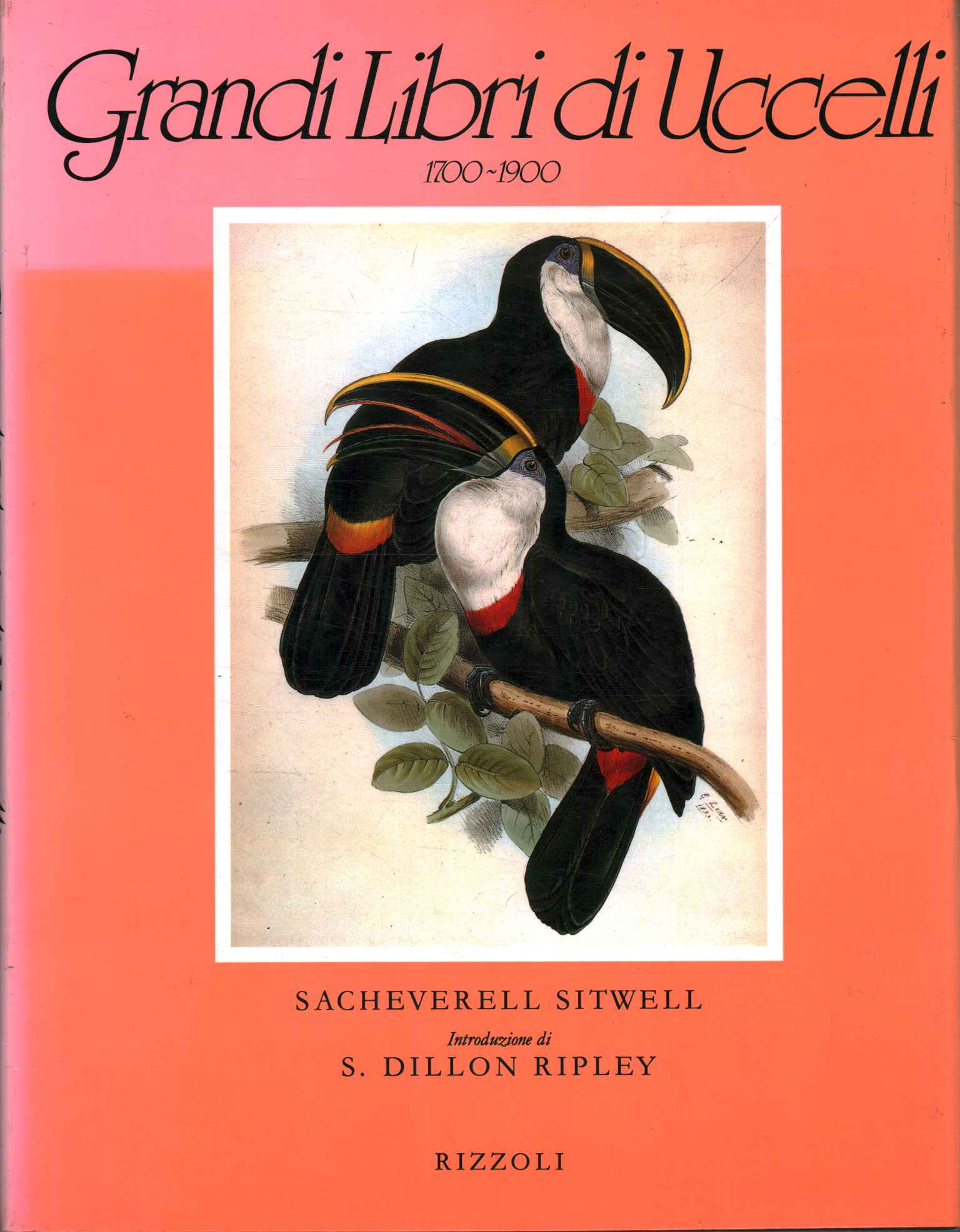 Grands livres sur les oiseaux