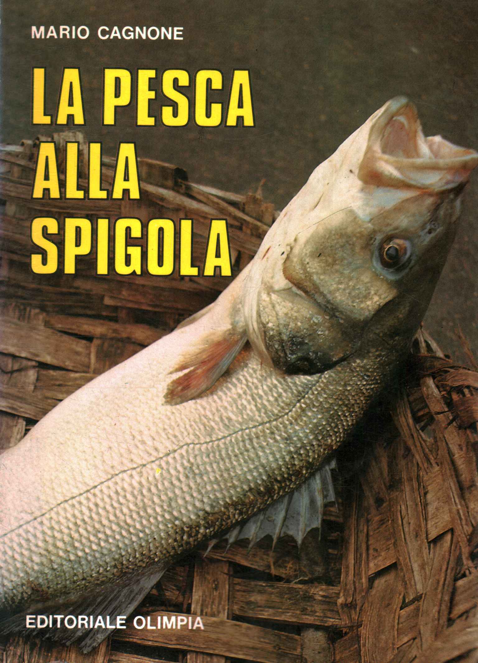 La pesca alla spigola