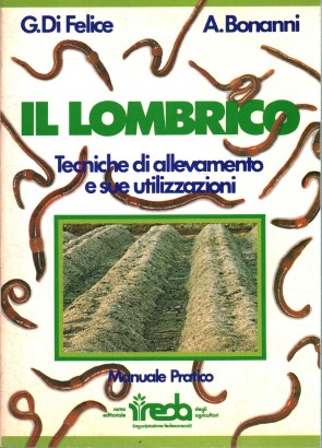 Il lombrico