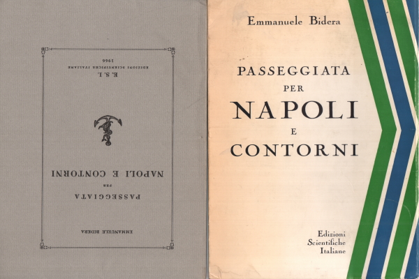 Passeggiata per Napoli e contorni, Emmanuele Bidera