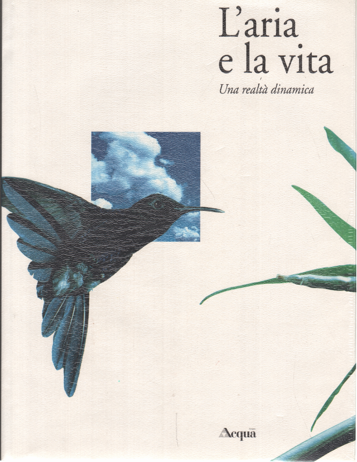 El aire y la vida, Francesco Soletti