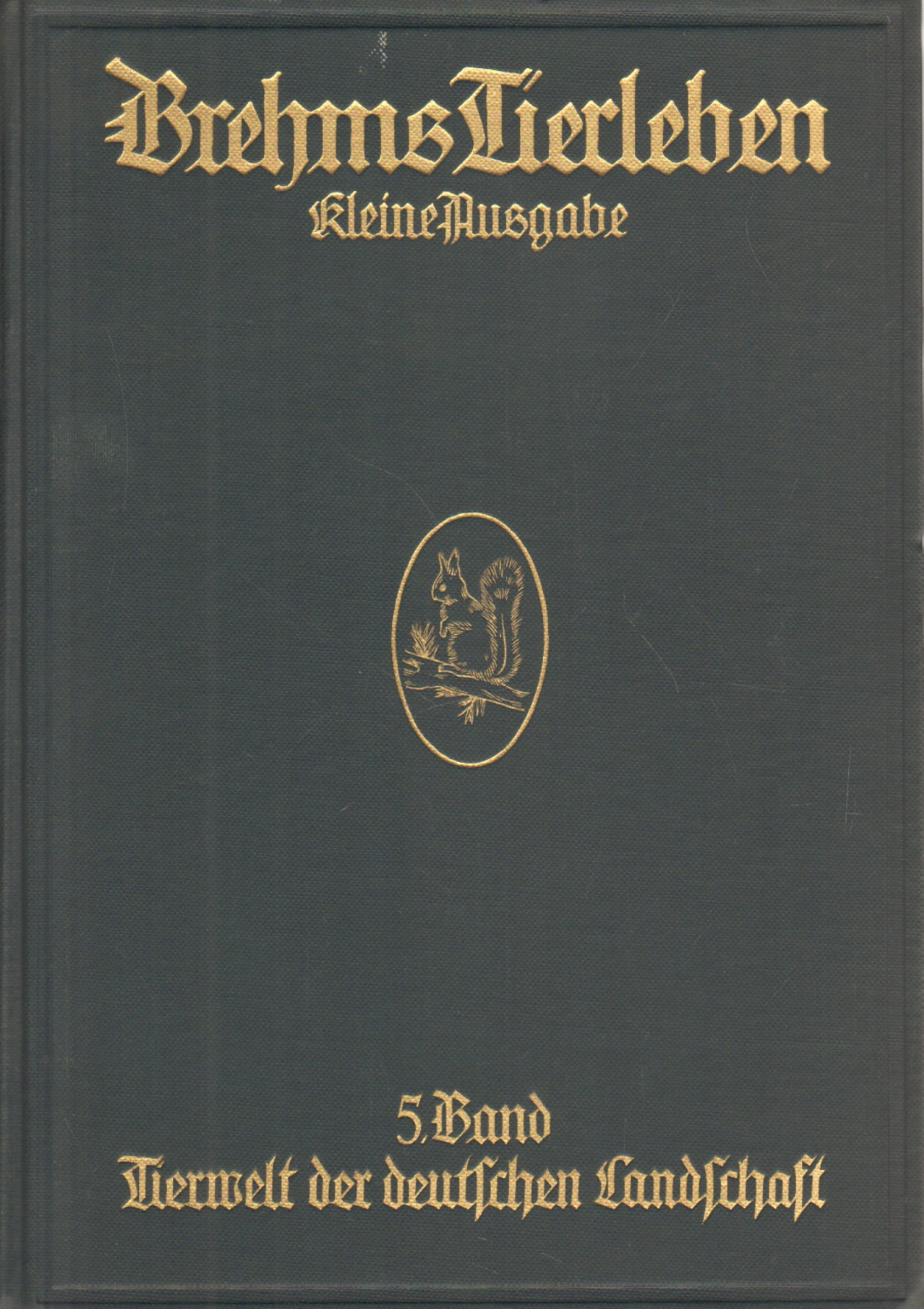 Die Tierwelt der deutschen Landschaft, Walter Rammner