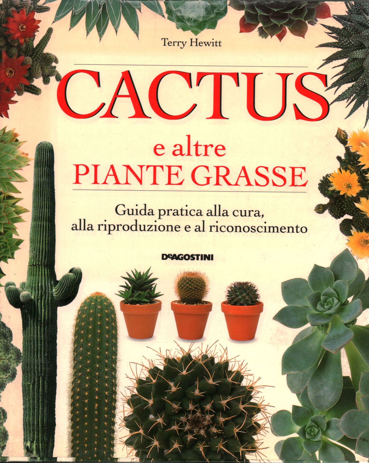 Cactus e altre piante grasse, s.a.