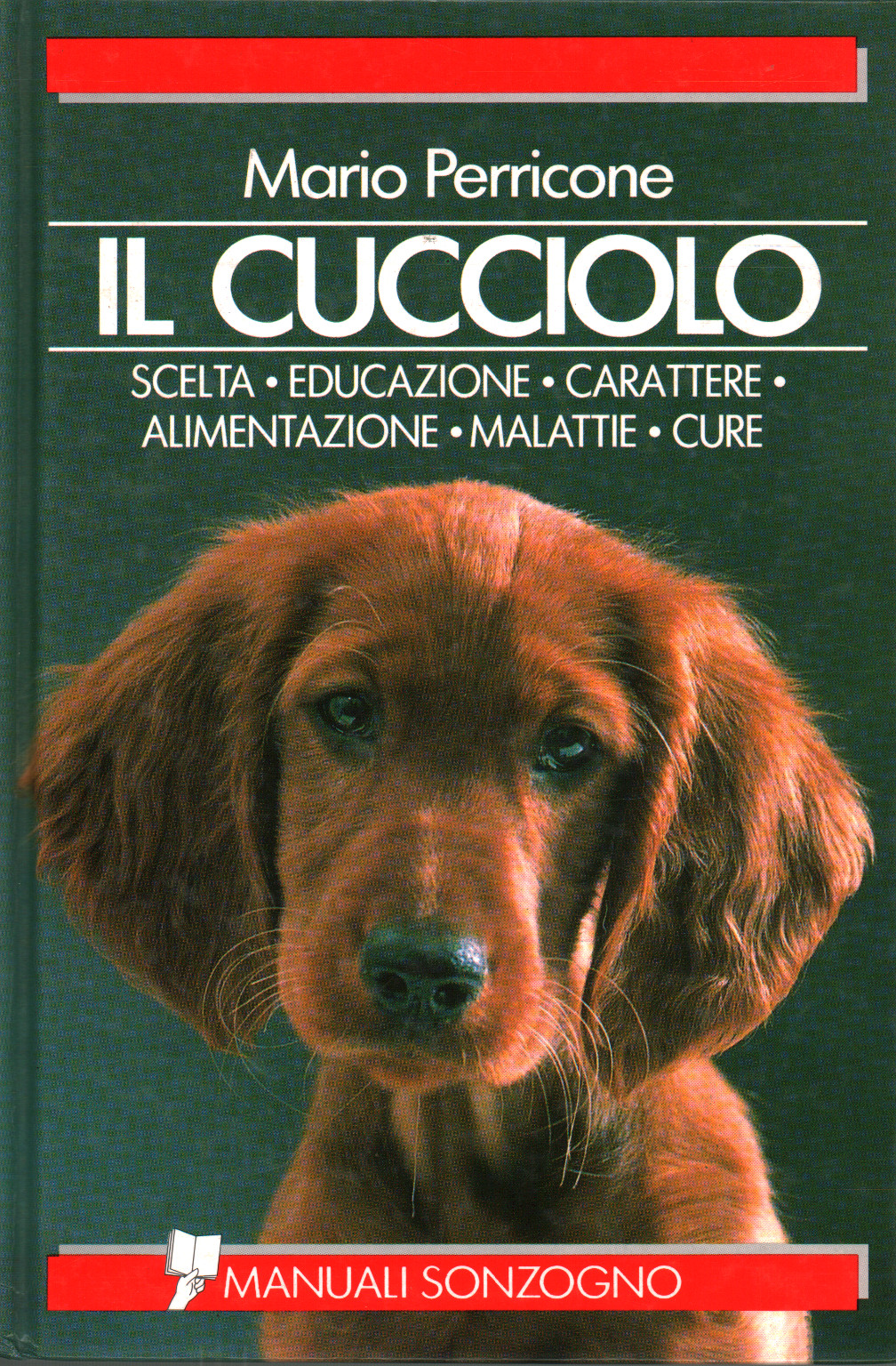 Il cucciolo, s.a.