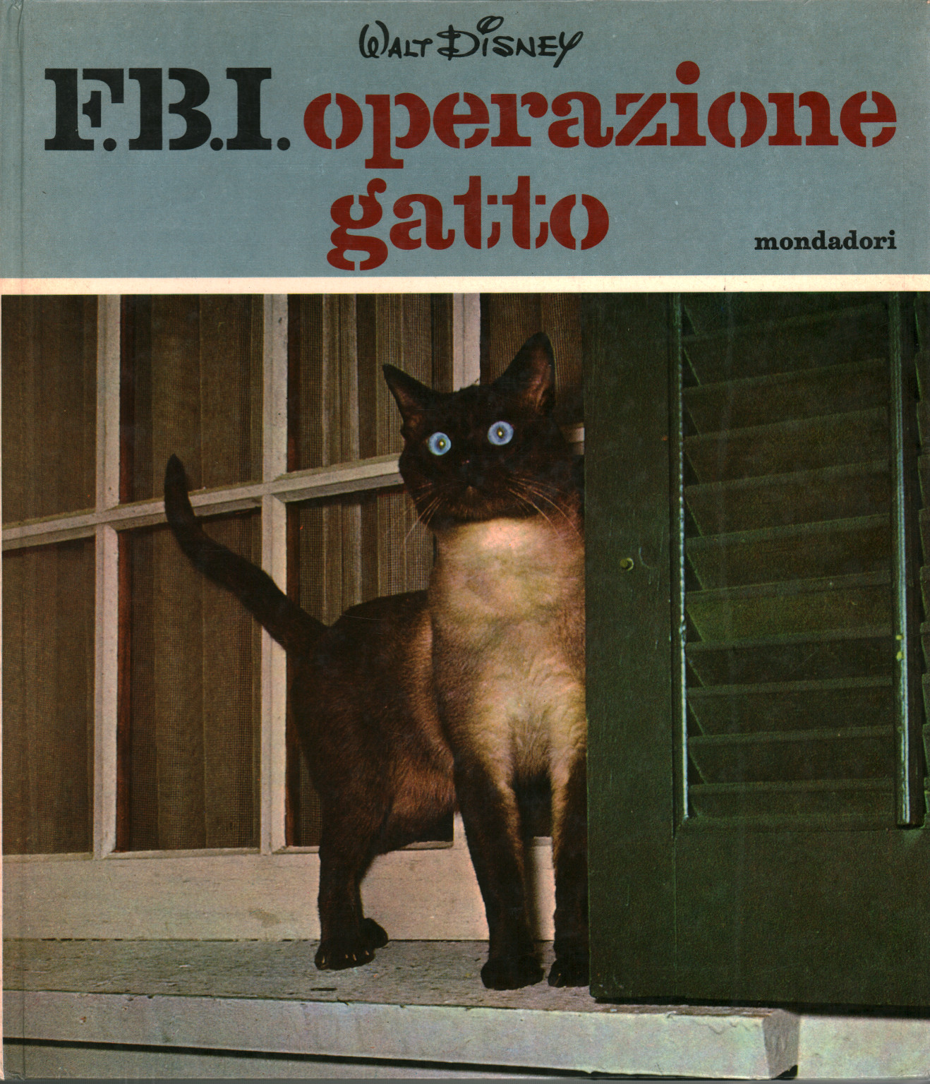 F. B. I operation cat, s.a.