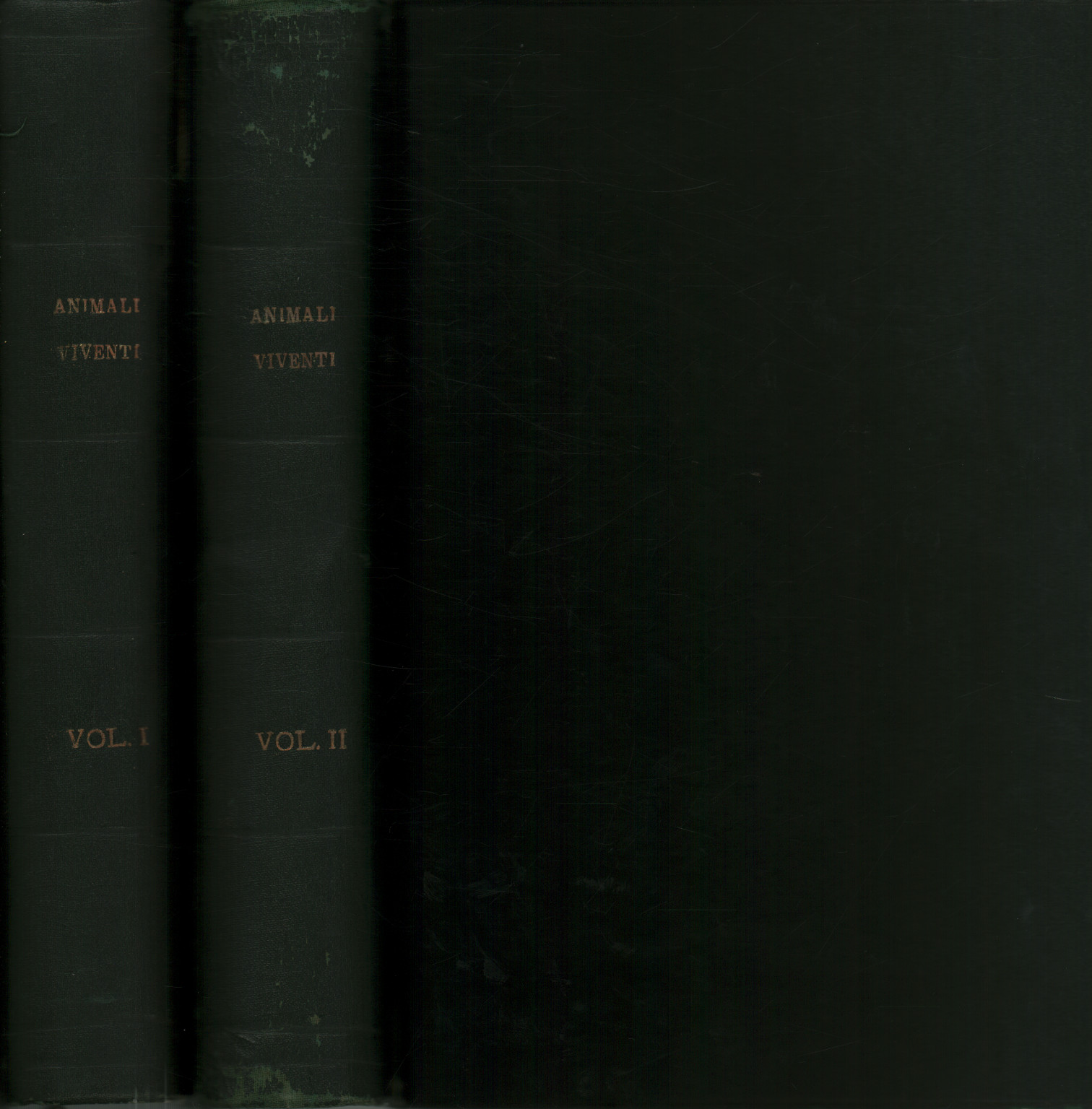 Animaux vivants. Histoire naturelle (2 volumes), s.a.