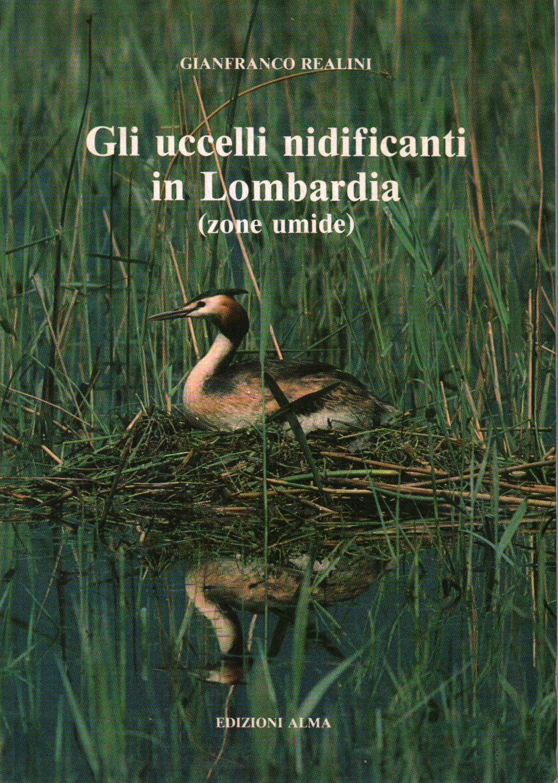 The birds nested in the Lombardy region (wetlands), s.a.