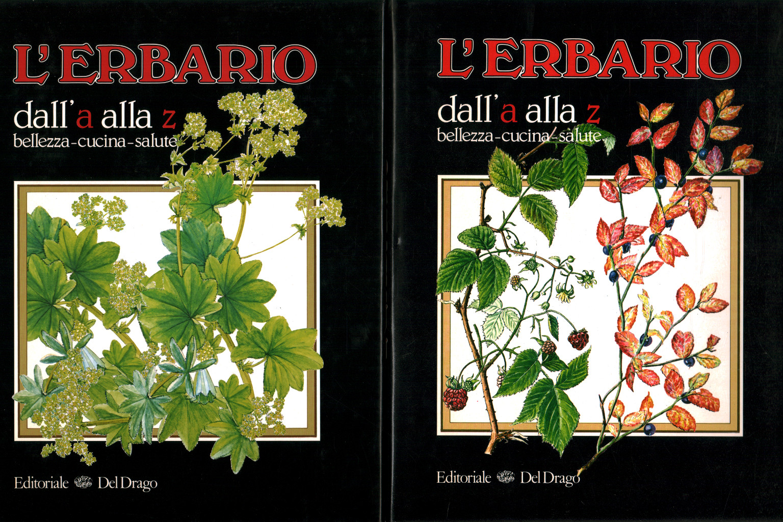 L'herbaio de a à z (2 Volumes), s.a.