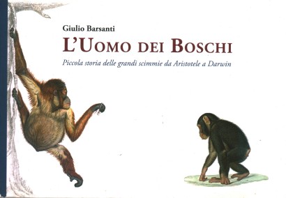 L'uomo dei boschi