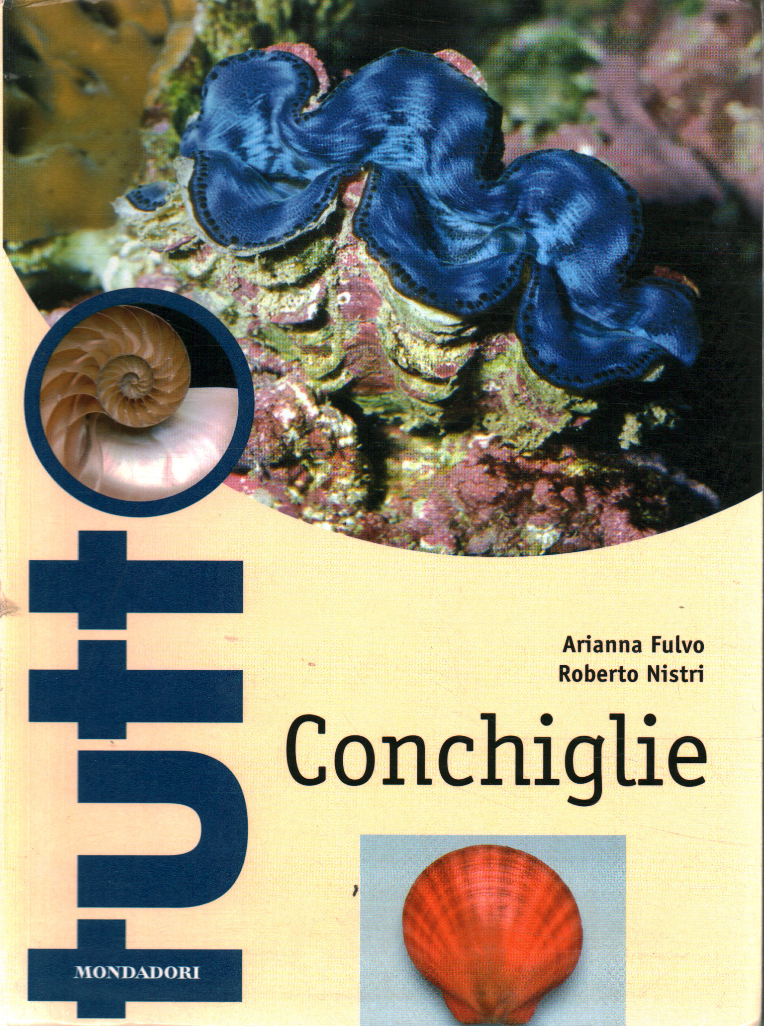 Conchiglie, Arianna Fulvo Roberto Nistri