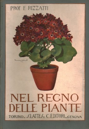 Nel regno delle piante