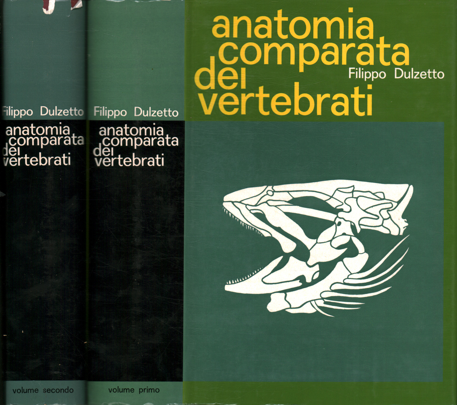 Anatomia comparata dei vertebrati (2 Vol