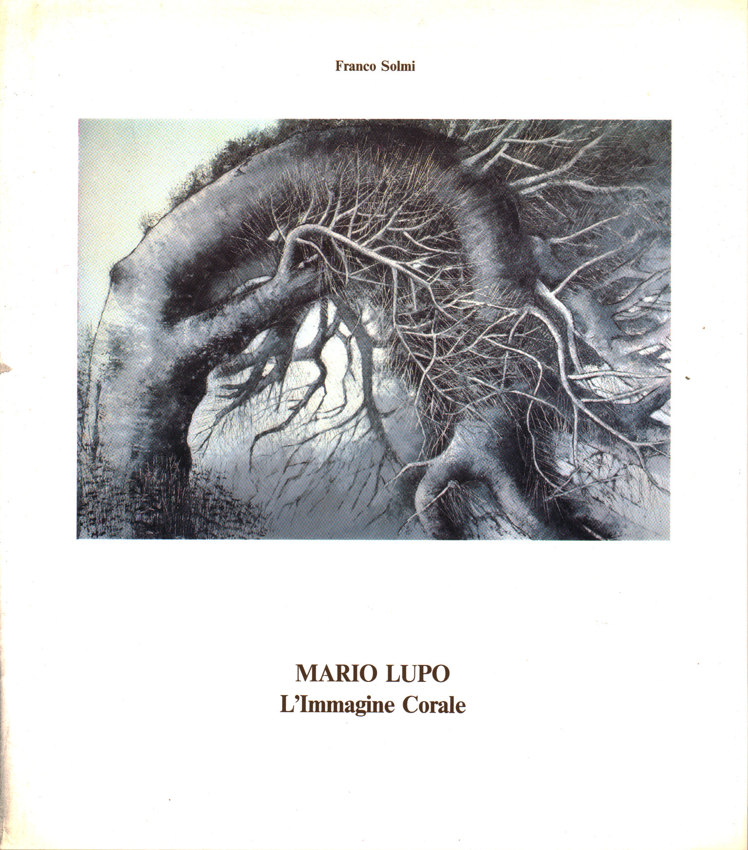 Mario Lupo - The Choral Image%