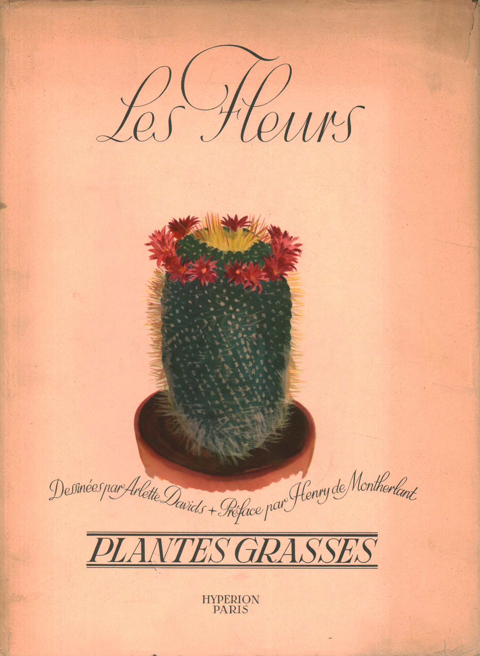 Planter des graminées