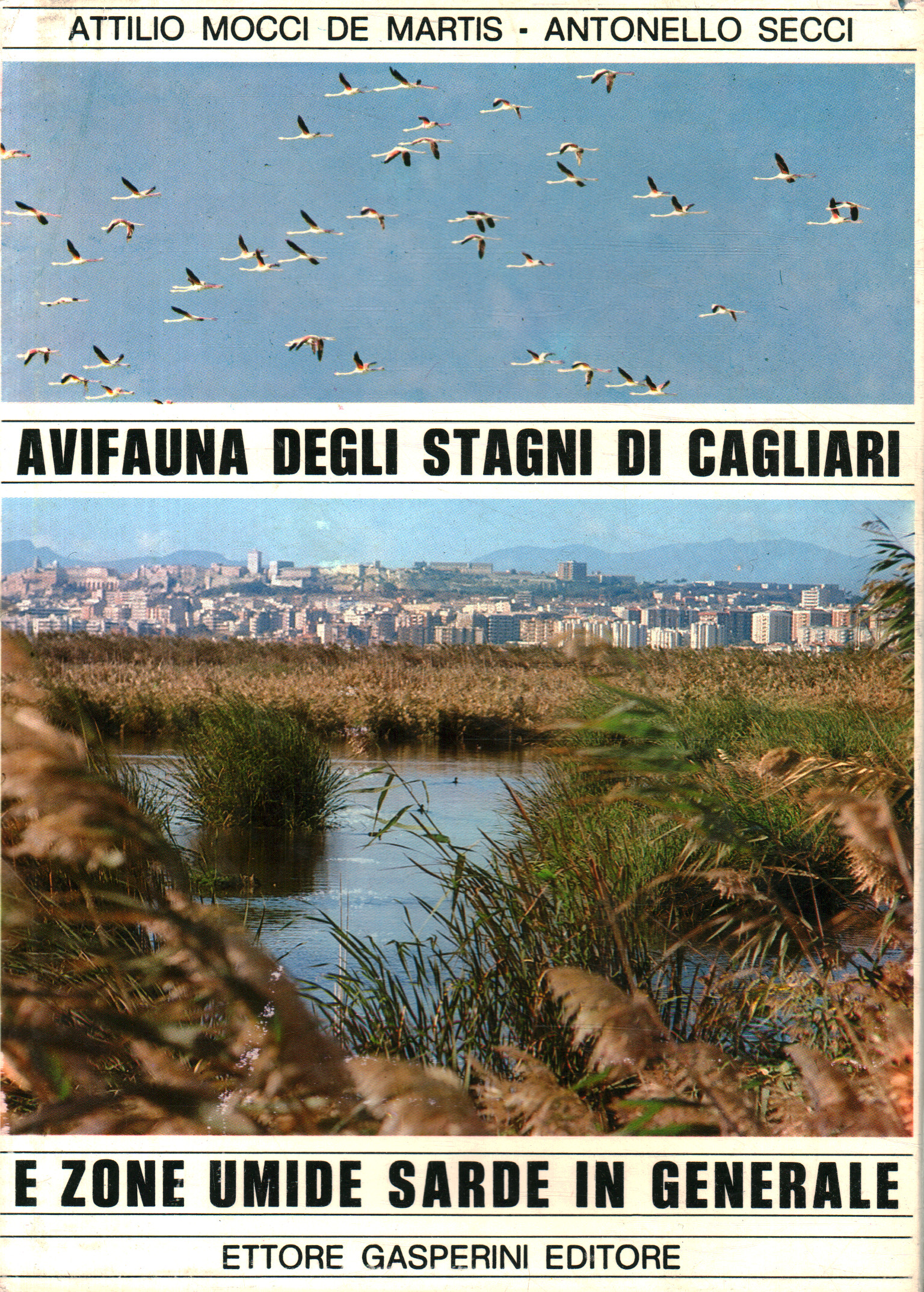 Avifaune des étangs de Cagliari et zo